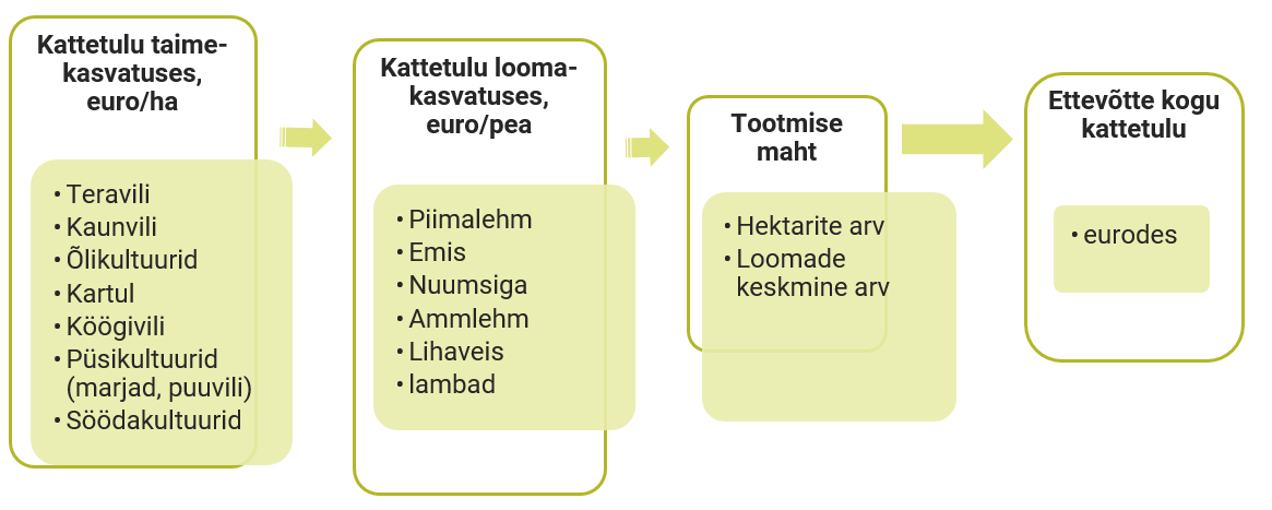 Ettevõtte kogu kattetulu joonis