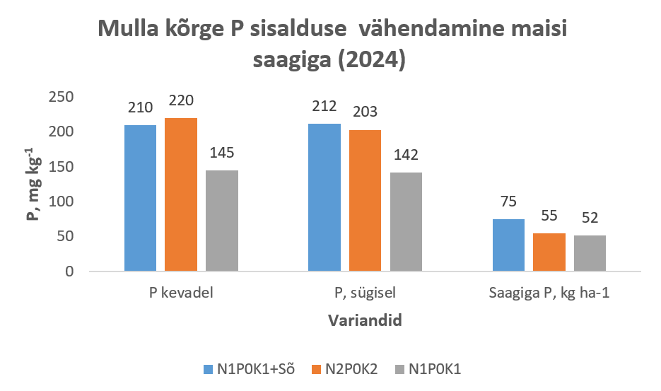 Joonis: mulla kõrge P sisalduse vähendamine maisi saagiga.