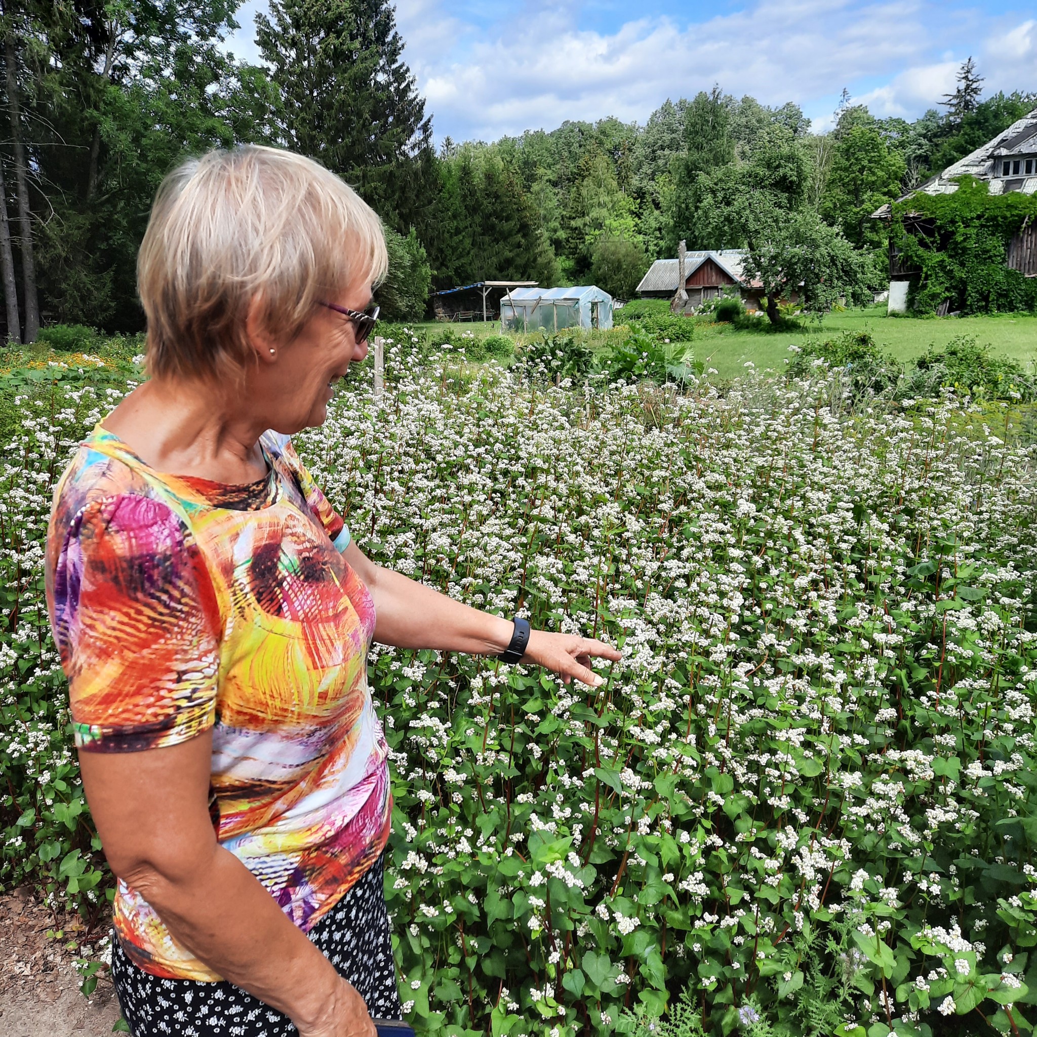 Tatar ja keerispea