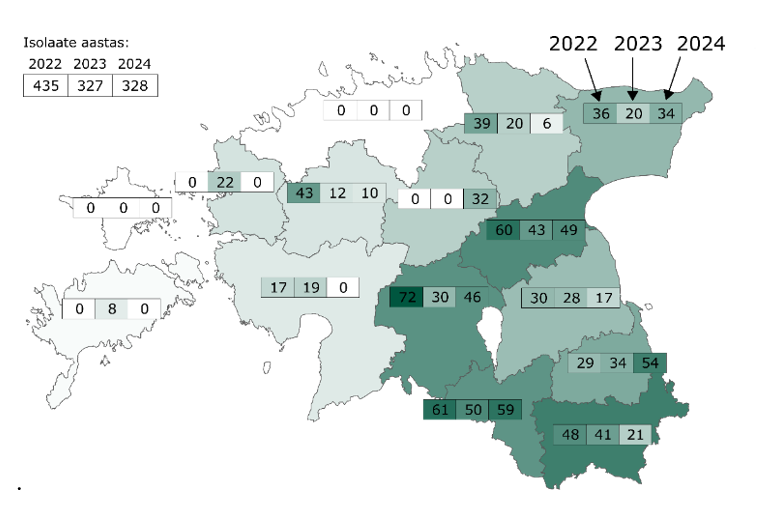 Joonis 2. 2022.–2024. a Z. tritici maakonnast kogutud proovide arv