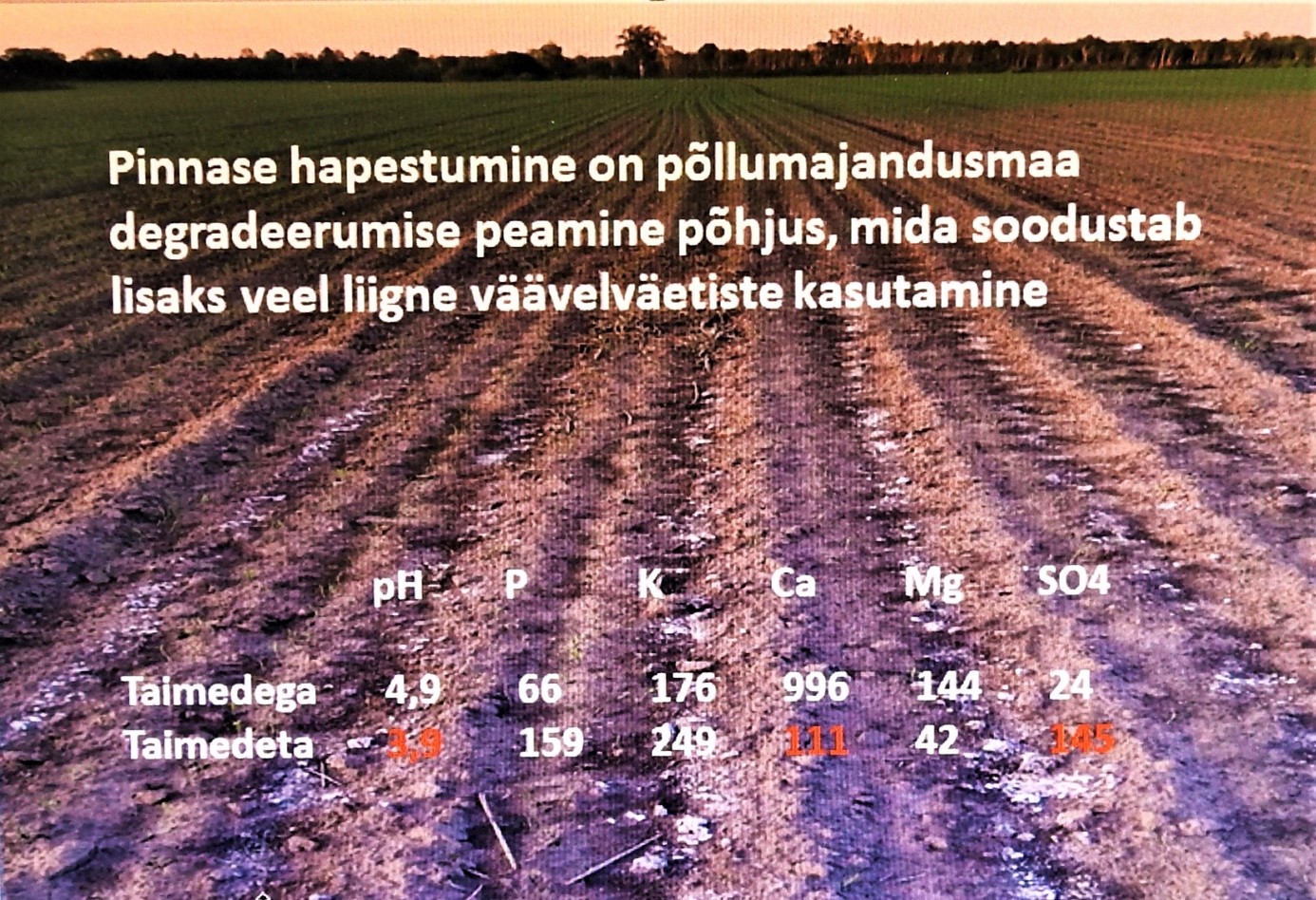 Pildil on põld, millel on väävliga liialdatud.
