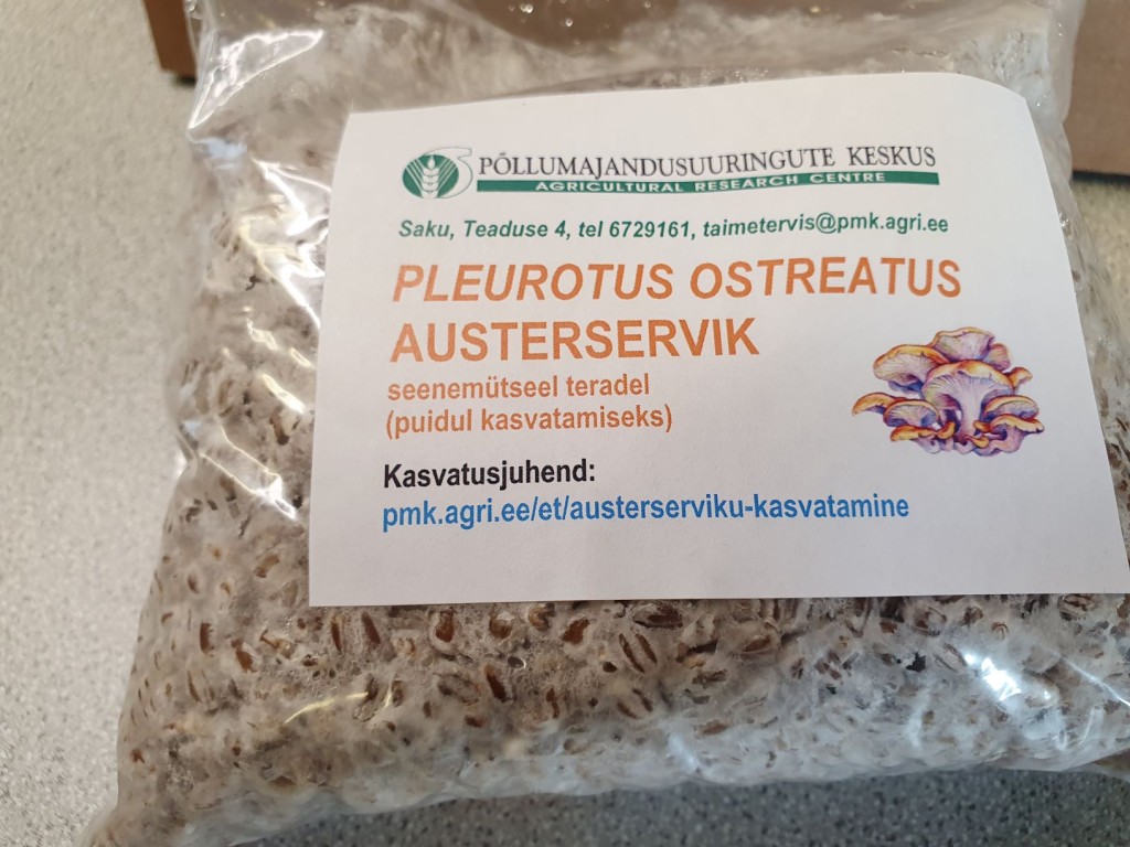 20210414_mytseeli-pakk.jpg