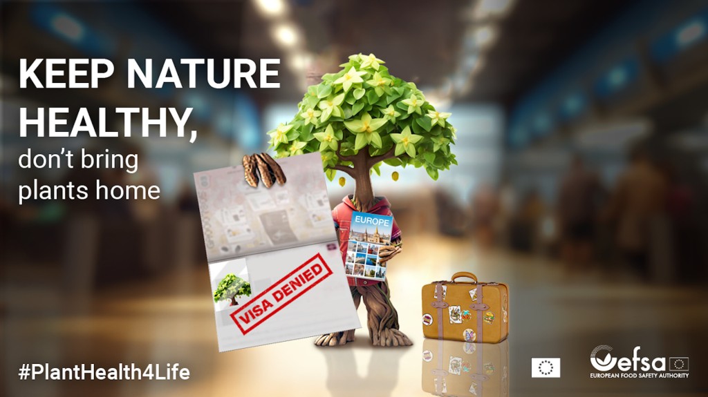 Keep Nature Healhy don't bring plants home.jpeg