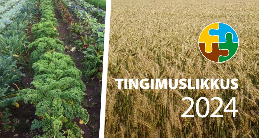 tingimuslikkus.jpg