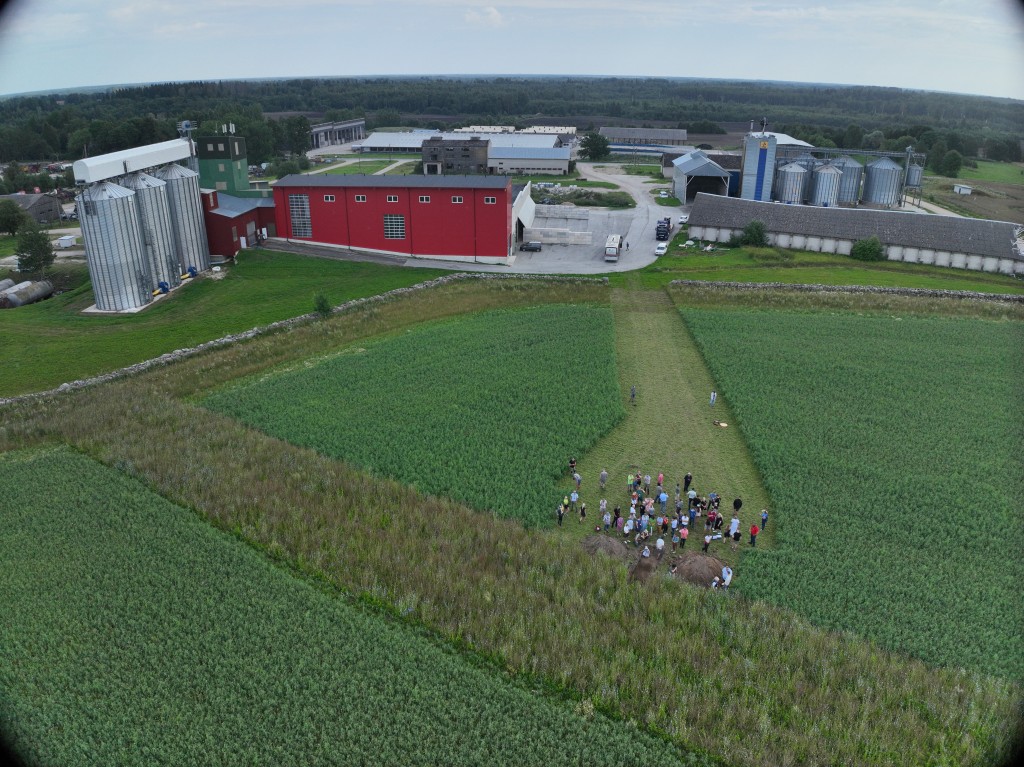 Haljasväetiskultuuride tehnoloogia demopäev_2.JPG