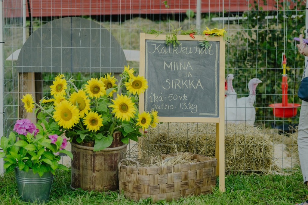 Photo 12.JPG