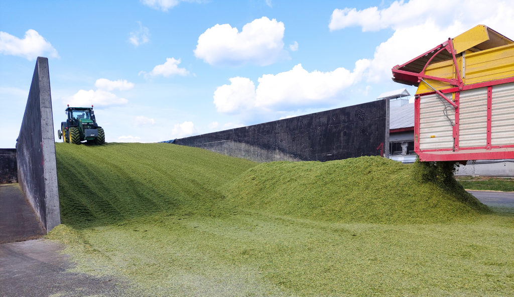 Silo_tegemine_veebile.jpg.png