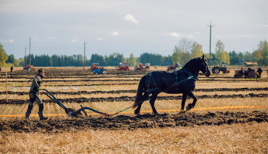 2024_aasta_kunnivoistlus_FOTO_Eesti_Künniselt.png