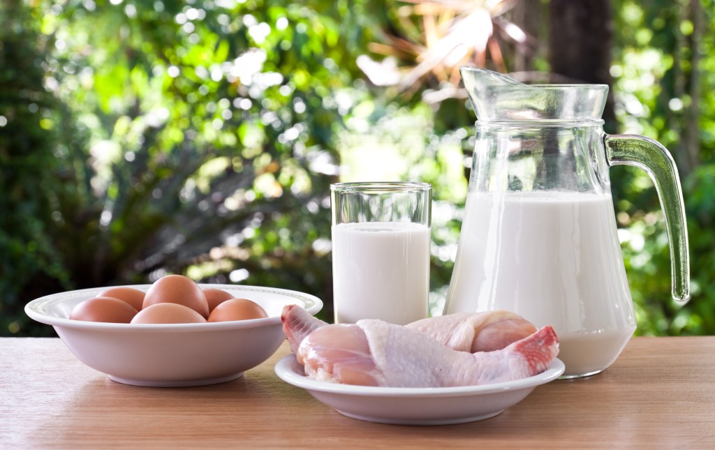 milk-drink-health-fat-healthy.jpg