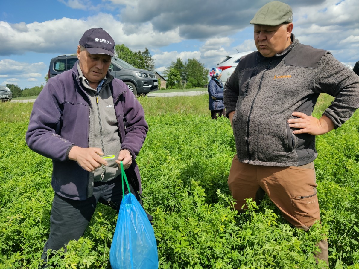 Lutserni proovi võtmine siloseireks
